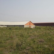 Продам ферму животноводческую в Днепропетровская область. фото
