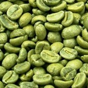 Кофе зеленый Arabica Honduras SHG 69 kg