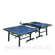 Теннисный стол для помещений Enebe Altur Level фото