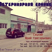 Ветеринарная клиника Харьков (093)408-09-36 фото