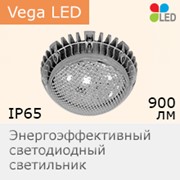 Светильник светодиодный для ЖКХ Vega LED-10