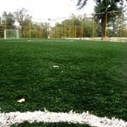 Аренда футбольных полей в Алматы фото