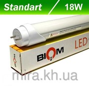 Светодиодная лампа Biom T8-1200-18W CW 6200К G13 матовая (холодный белый) фото