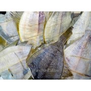 Рыба Камбала без головы и без брюха, S -19-21см, 200-300 грамм фото