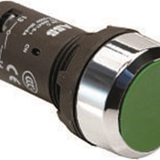 Кнопка CP1-30G-10 зеленая без фиксации 1HO