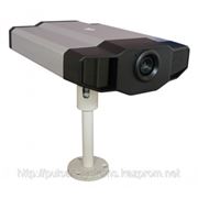 IP камера видеонаблюдения Avtech AVI203 фотография
