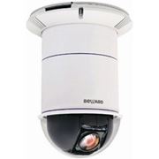 IP камера купольная панормная BEWARD BD65-5 фото