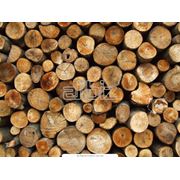 Брус из различных пород древесины фото