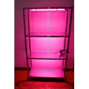 Стеллаж для рассады с подсветкой фото