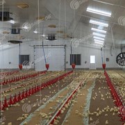 Комплект оборудования для содержания птицы фото