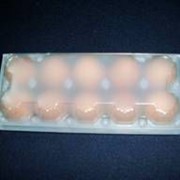 Упаковка для яиц отборных КЯ-10 М/О (матовая) фото