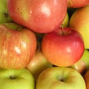Яблоки свежие Украина купить оптом от производителя фото