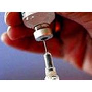 Вакцинация фото