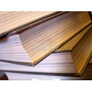 Курсы изучения русского языка фото