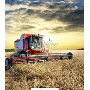 Сельское хозяйство. Обслуживание и ремонт сельхозтехники. Ремонт сельхозтехники. Ремонт сельхозтехники. фото