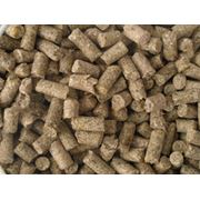 Выработка комбикормов для птицы животных и рыб фото