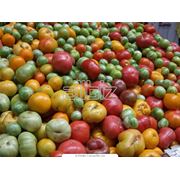 Экспорт фруктовых концентратов различных видов консервированных овощей и фруктов фотография