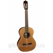PEREZ 610 Cedar LTD - классическая гитара фото