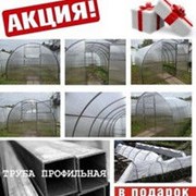 Теплица Северная 8x3x2 фото