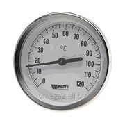 Термометр биметаллический с погружной гильзой Watts T 100/50 SD фотография