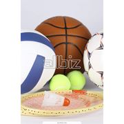 Услуги спортзалов фото