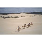 Тур по барханам пустыни Средней Азии фото