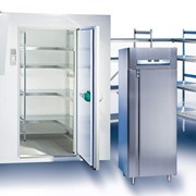 Холодильное оборудование для хранения медикаментов фото