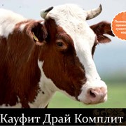 Премикс для сухостойных коров Кауфит Драй Комплит фотография