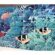 Плитка мозаика SeraPool фотография