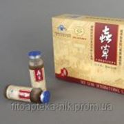 Кордицепс жидкий линчжи и аминокислотами /Энергия Тибета/ фото