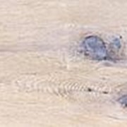 Замковый пробковый пол Granorte, Vita Classik 10, Дуб PEARL (1164 х 194 х 10,5 мм) упак. 1,58м2 фото