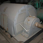 Электродвигатель СТДМ-630-2РУХЛ4 фото