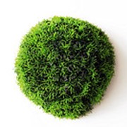 Шар из травы искусственный D-25 см (без кашпо) фото