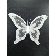 Бабочка на клипсе фото