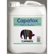 Защита от мха — Защита от плесени Caparol Capatox — Защита от грибка — Защита от водорослей фото