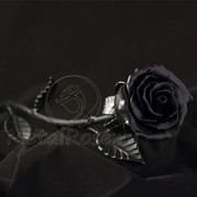 Черная кованая роза фото