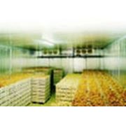 Овощехранилища фото