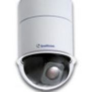 Управляемая купольная камера высокого разрешения GV-SD010-36X фотография