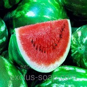 Арбуз отдушка-10 мл фото