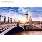Фотообои “Александровский мост мира в Париже“ M 797 (3 полотна), 300х200 см фотография