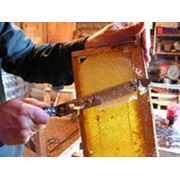 Отбор мёда из ульев фото