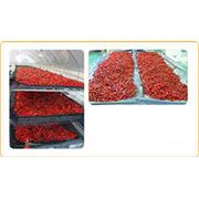 Сушка овощей и фруктов фото