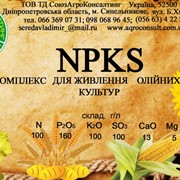 Комплекс для живлення олійних культур NPKS (10:17:10:10). фото