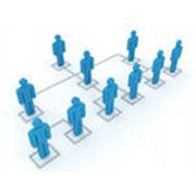 Оптимизация организационной структуры фото