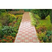 Строительство дорог фото