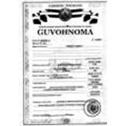 Декларанты ГТД таможенное оформление экспорт-импорт фото