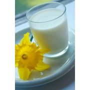 Молочный напиток- кефир фотография