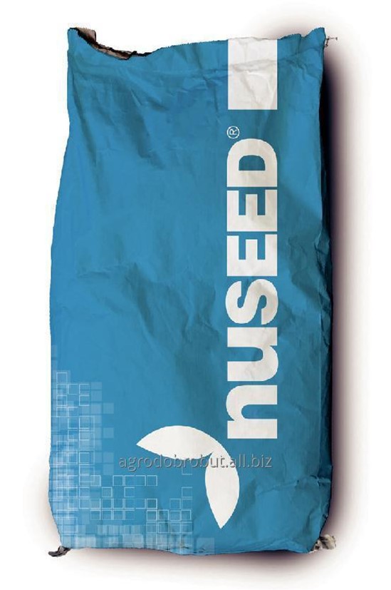 Семена Подсолнечника Купить Казахстан