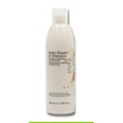 Шампунь для сухих и поврежденных волос Hydro Repair 01. Shampoo фото