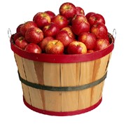Яблоки. Яблоки купить. Яблоки купить от производителя. Продам яблоки.